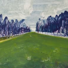 Deborah Freedman