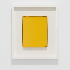 Shaun Waugh