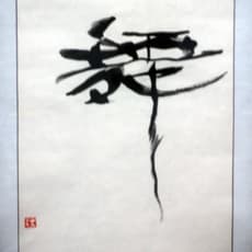 Lin Wenjie