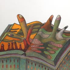 Linda J Wallis
