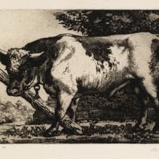 Charles Tunnicliffe