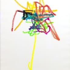 Marcel Schwittlick