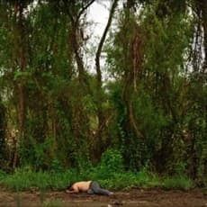 Fernando Brito