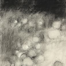 Emily Nelligan