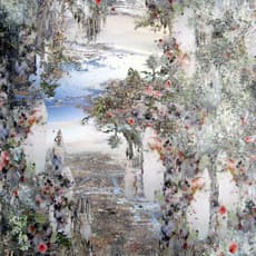 Jane Ward
