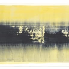 Joris Geurts