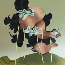 Judith Grassl