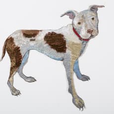 Gina Phillips