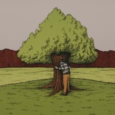 Luke Dorman