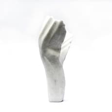 Helaine Blumenfeld