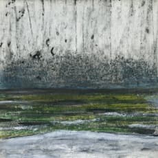 Sindy Lutz