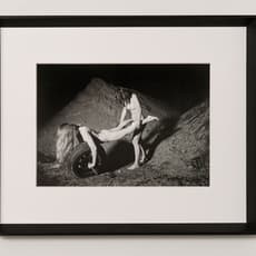Carina Brandes