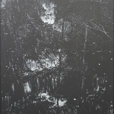 Peter Eastman