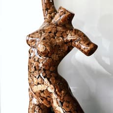 Guido Oakley