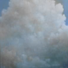 Donna McGinnis