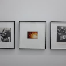Lea Lublin