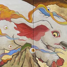 Koki Tsujimoto