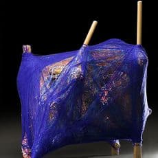 Tony Pedemonte