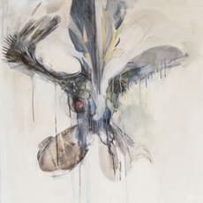 Aileen Hamilton