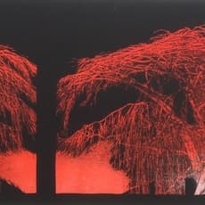 Yoshikazu Tanaka