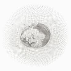 Walter Oltmann