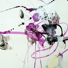 Birgit Fechner