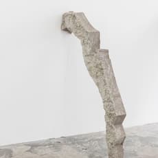 Tiril Hasselknippe