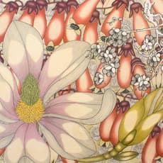Nancy Blum