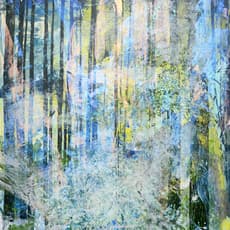 Sheng Hung Shiu