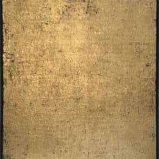 Donna Mintz