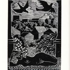 Jinny Heath