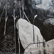 Morten Schelde
