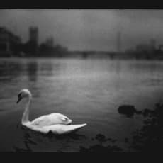 Giacomo Brunelli