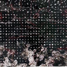 Andy H. Jung