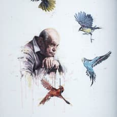 Christiaan Conradie