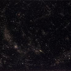 Miguel Rothschild