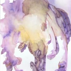 Noel Grunwaldt