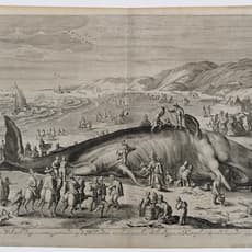 William van der Gouwen