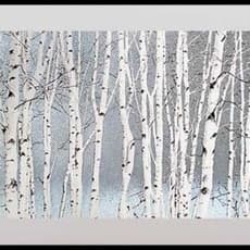 Ted Colyer