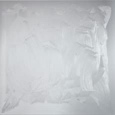 Bertrand Lavier
