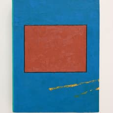 Ryan Steadman