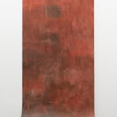 Anneliese Schrenk