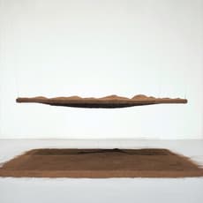 Caroline Le Mehaute