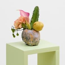 Emilia Bergmark