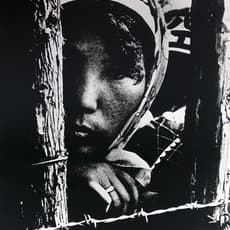 Takashi Hamaguchi