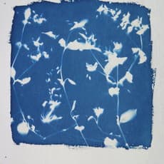 Joy Gregory