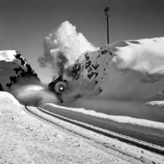John Dominis