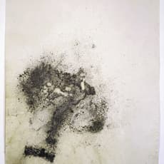 Ulrike Arnold