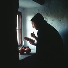 Dovrat Amsily-Barak