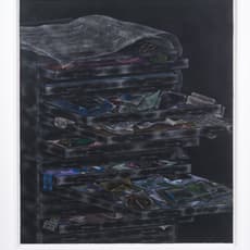 Samantha Roth